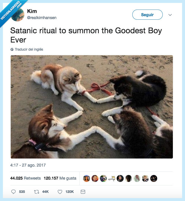 perro,ritual