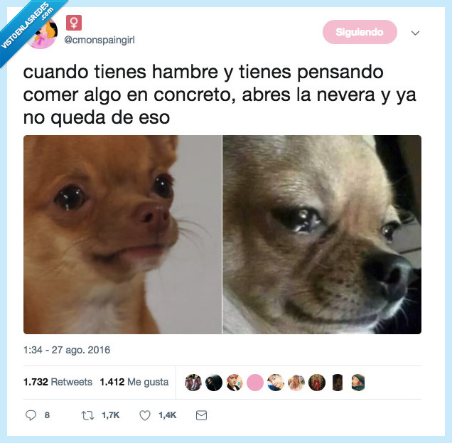 perro,hambre,nevera,comer