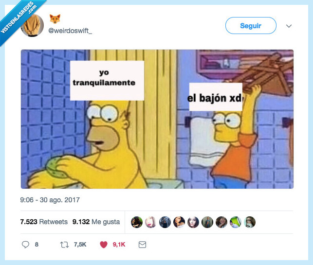 simpsons,homer,ba&ntilde;era