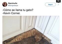 Enlace a El chistaco del día, por @Gongoresque