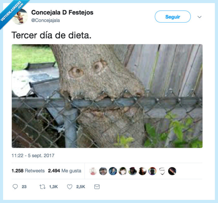 comer,árbol,hambre,dieta
