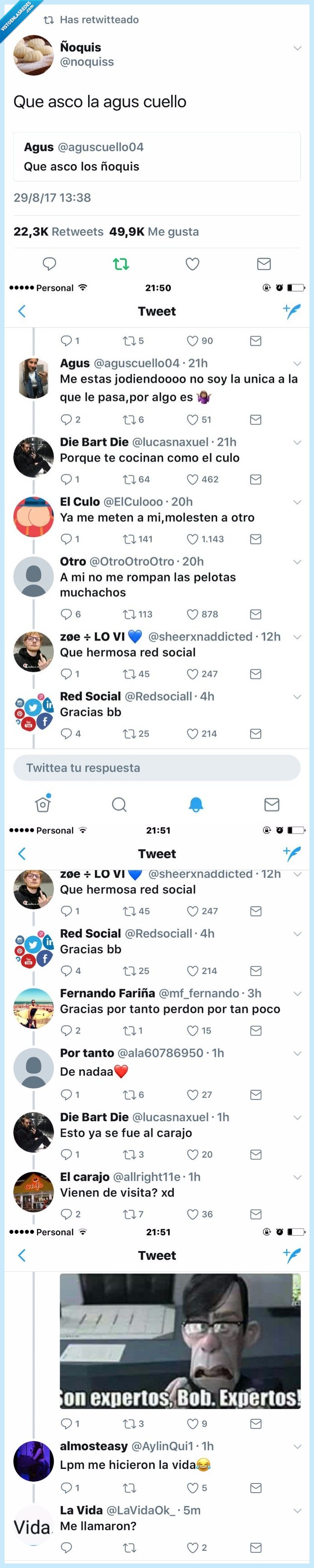 473549 - La desternillante conversación en Twitter que empieza de una manera surrealista pero lo acaba más