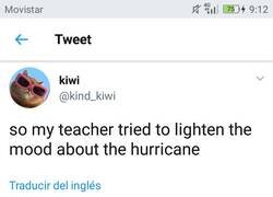 Enlace a Un maestro para animar la tragedia del huracán, por @kind_kiwi