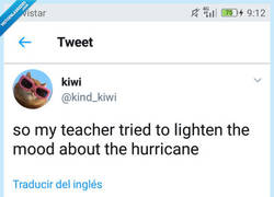 Enlace a Un maestro para animar la tragedia del huracán, por @kind_kiwi