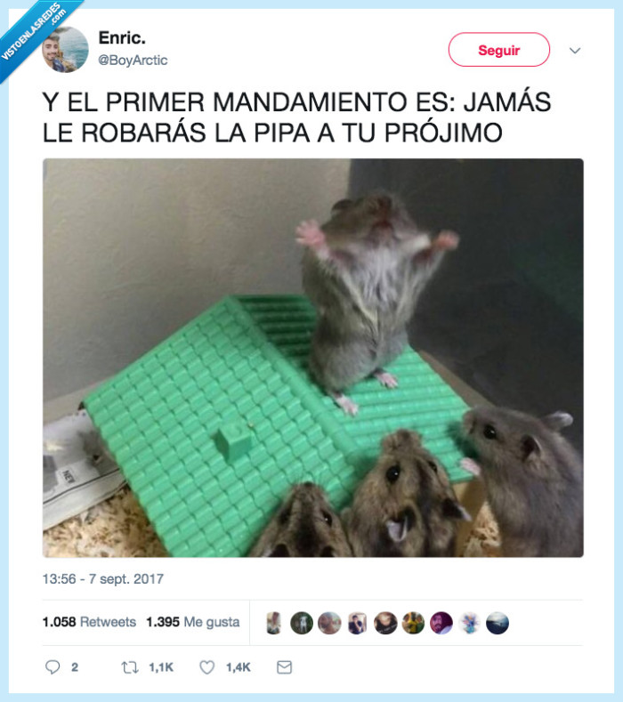 religión,mandamiento,pipa,projimo