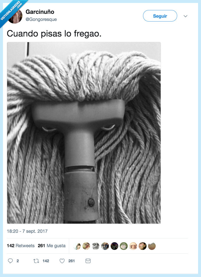 fregona,cabrear,pisar,fregao