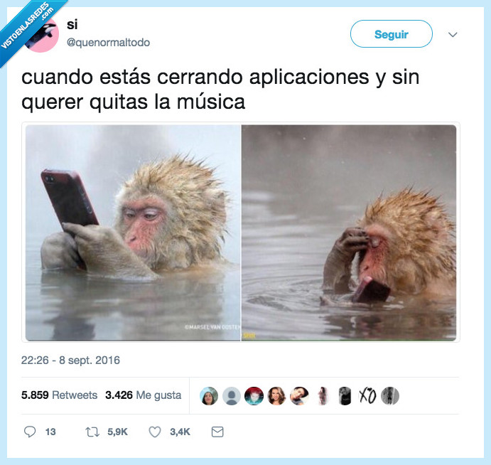 mono,aplicaciones,musica,cagada