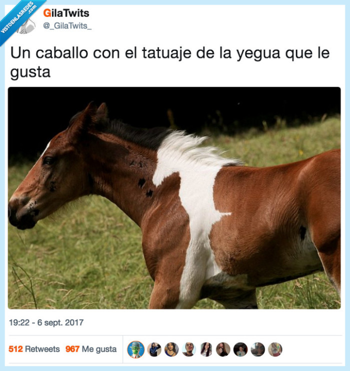 caballo,tatuaje,yegua
