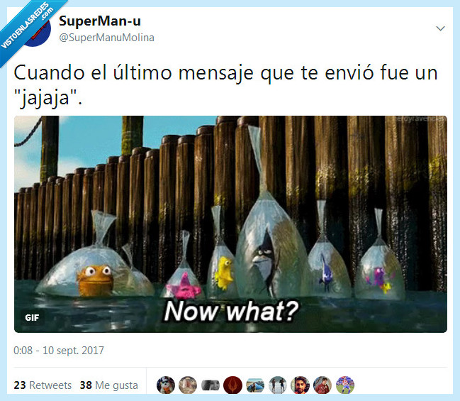 buscando a nemo,jajaja,conversación