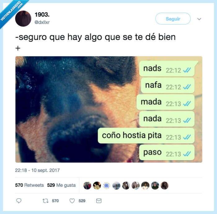 dar bien,seguro,hostia