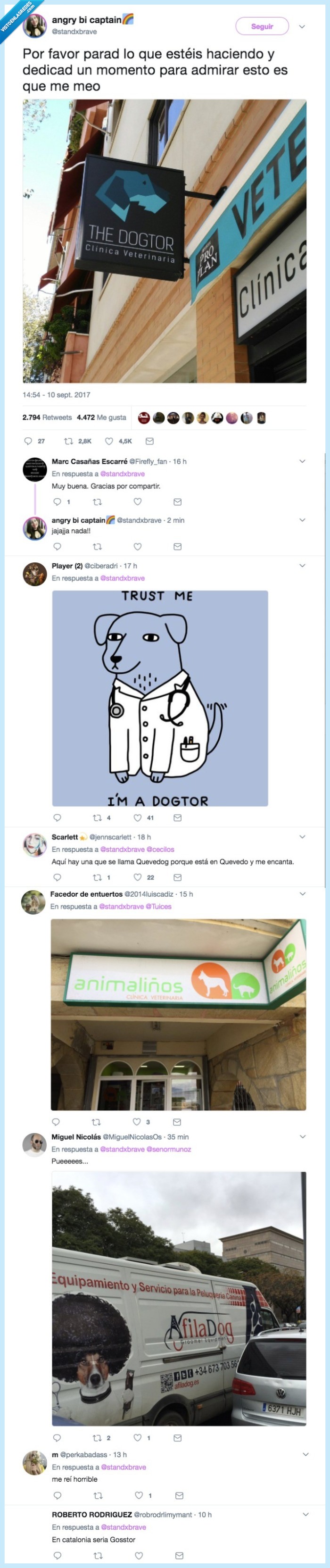 cínica,veterinaria,parar,momento