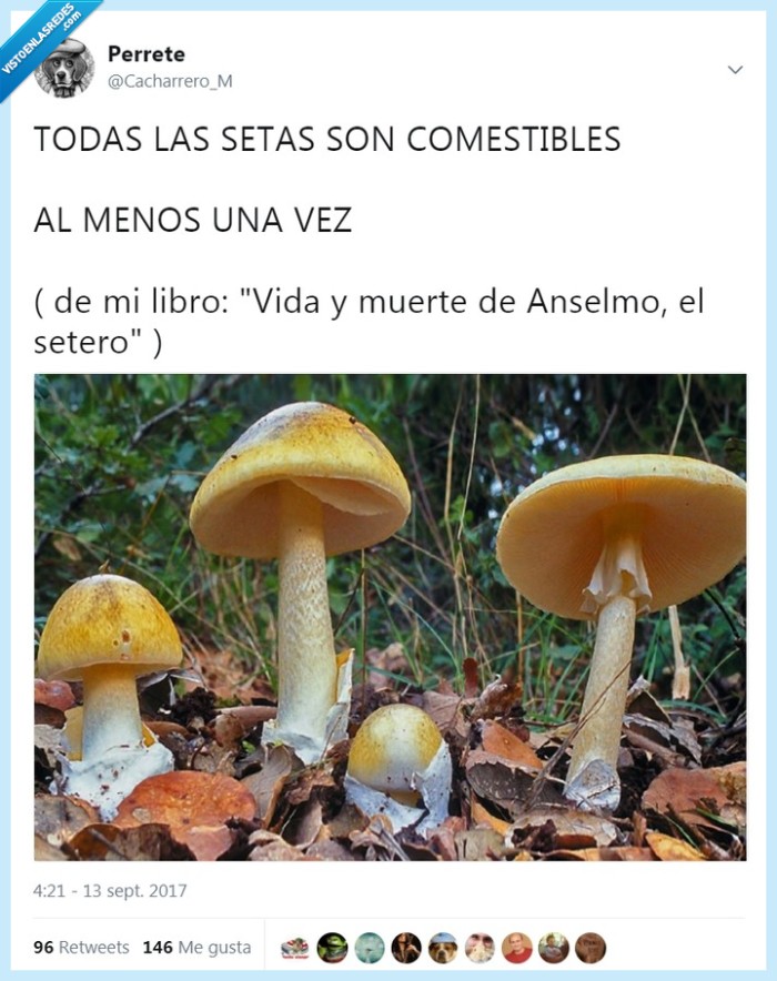 SETAS,COMESTIBLES