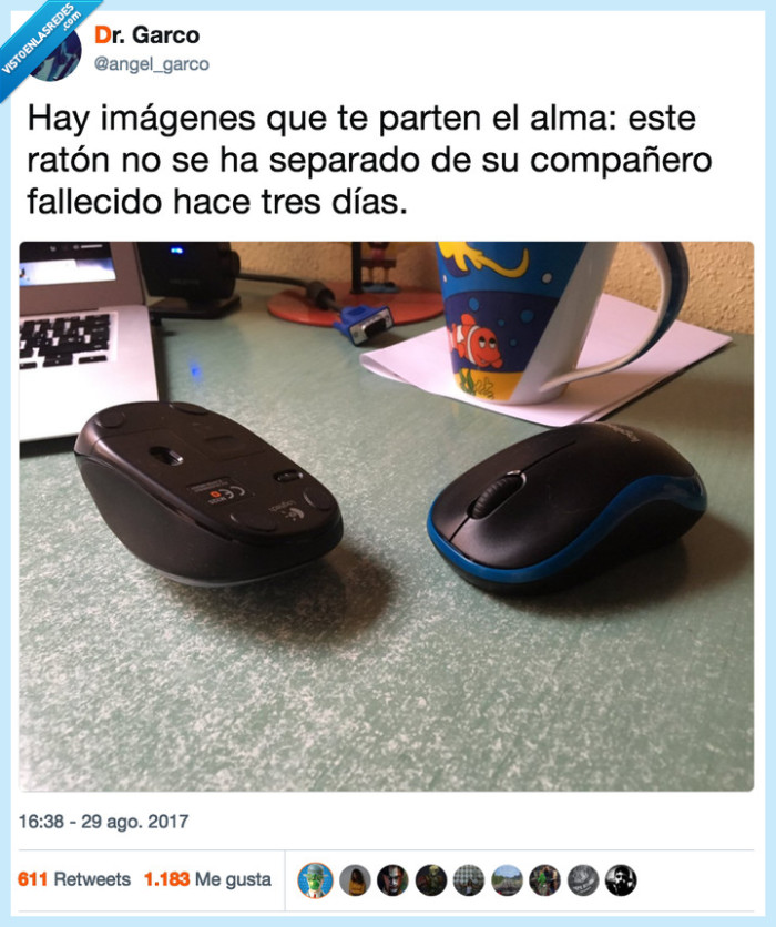 desgarrador,mouse,imágenes,partir alma