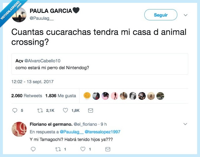 casa,animal,cucarachas