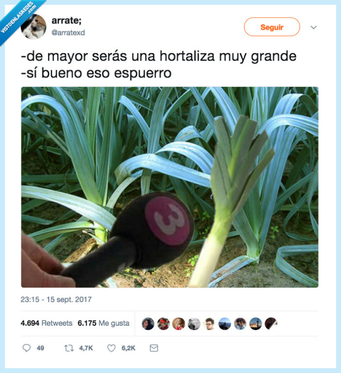 puerro,chistaco,malo,a morir