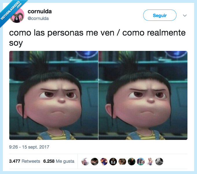 gru&ntilde;&oacute;n,personas,ser