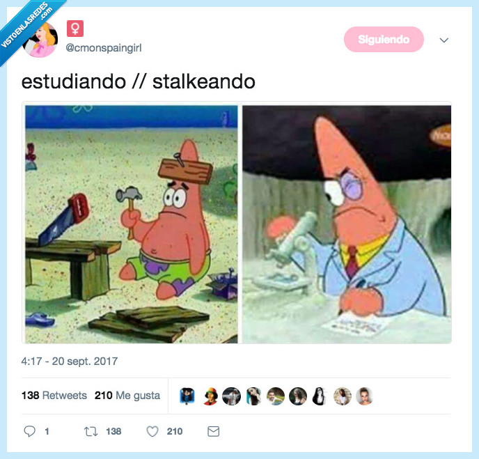 patricio,stalkear,bob