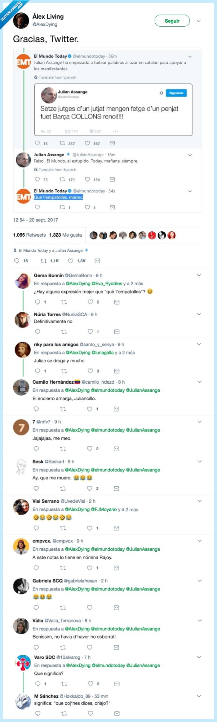 assange,confusion,mundo,risa