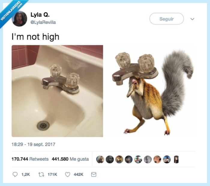 ardilla,parecidos,iguales