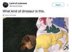 Enlace a ¿Qué tipo de dinosaurio es este?, por @landpsychology