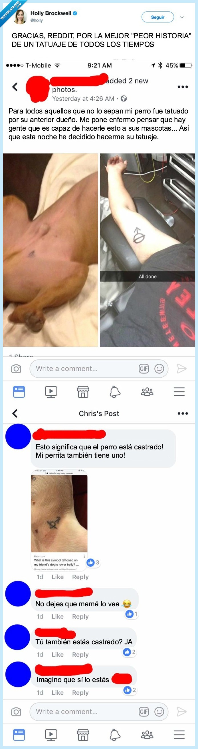 perro,tatuar,castrar