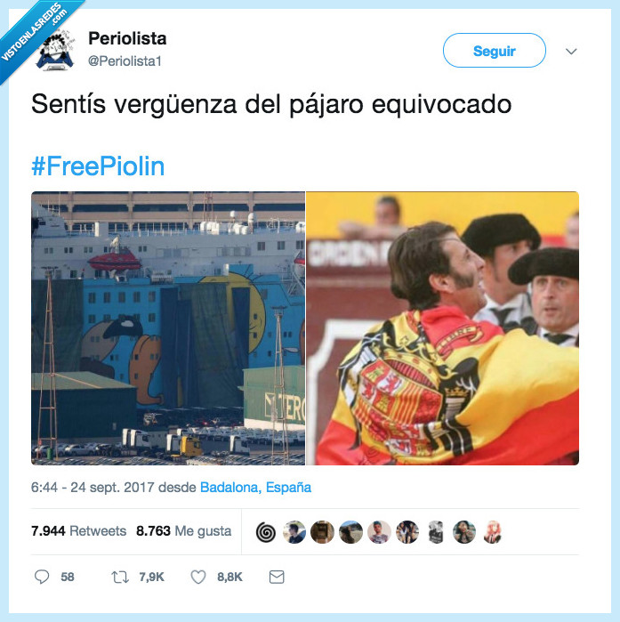 pájaro,vergüenzaa,equivocar