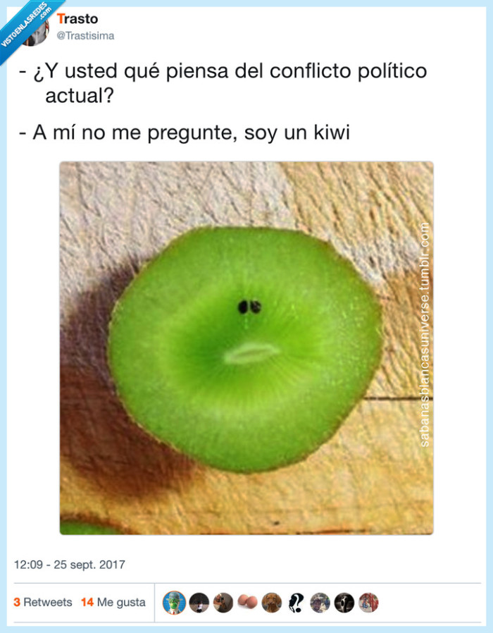 kiwi,preguntar,politica