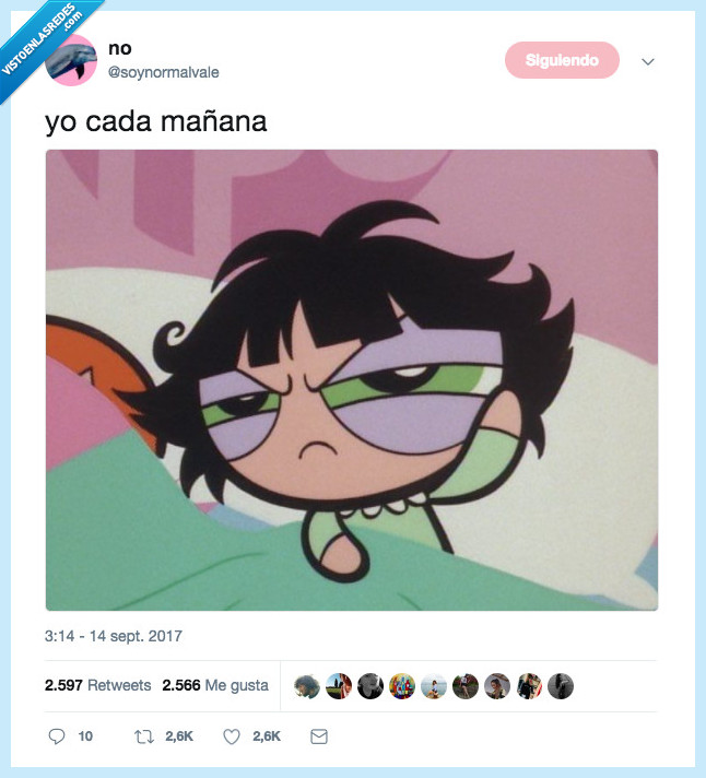 cactus,supernena,puenta