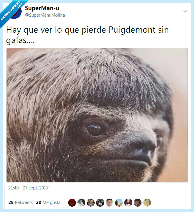 puigdemont,gafas,perezoso