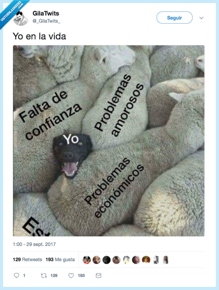 oveja,perro,pastor
