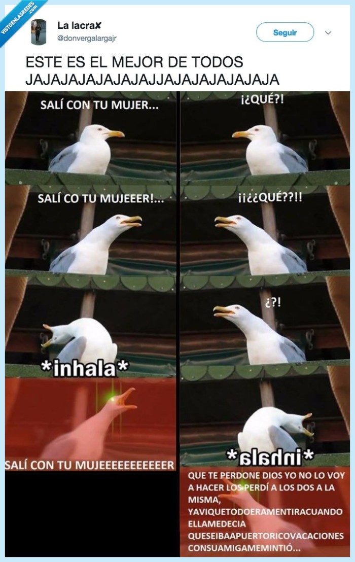 gaviota,marido,ella y yo