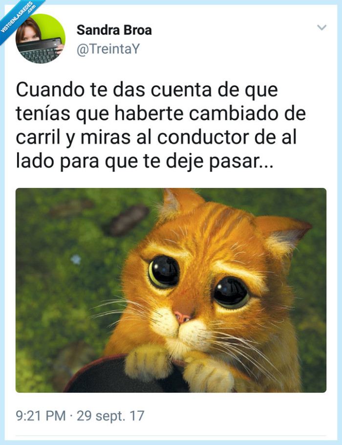 Shrek,gato,gato con botas,conducir,cara de pena
