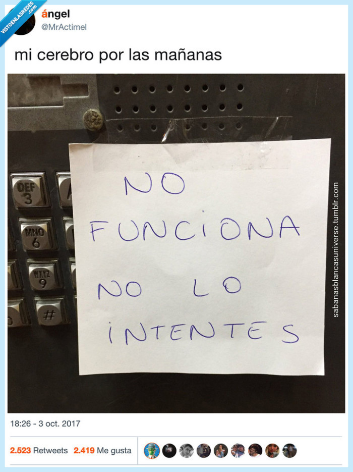 noche,funciona,persona,cerebro