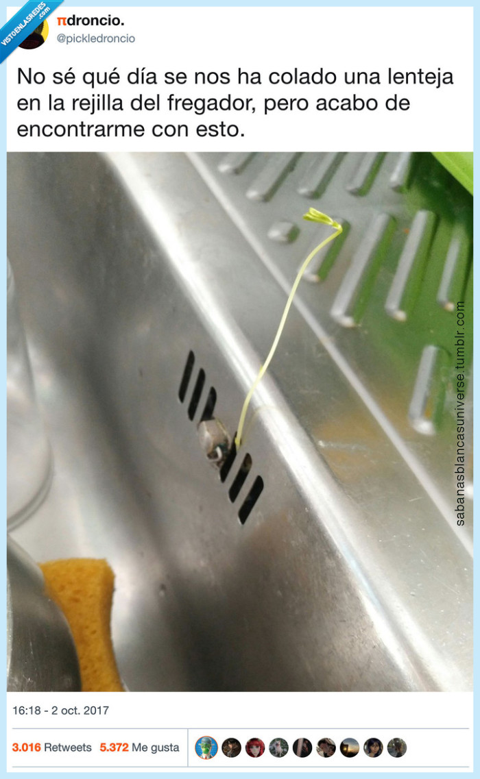 lenteja,semilla,asco,fregar los platos