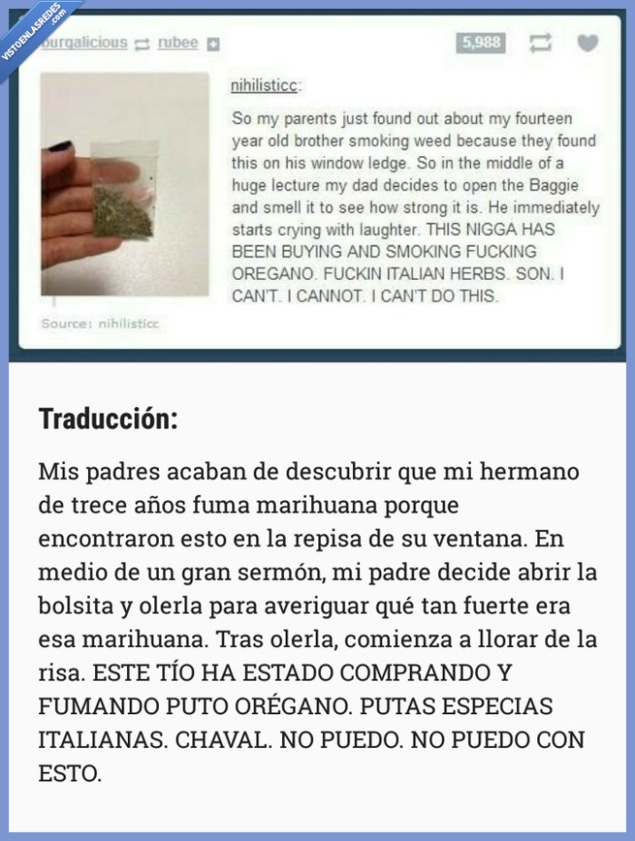 marihuana,hierba,orégano,niño,treceañero,engaño,timo,padres