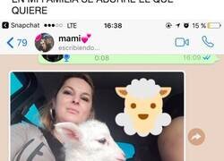 Enlace a Cuando tienes una madre que está pirada y adopta una mascota un tanto peculiar, por @jaimessevero