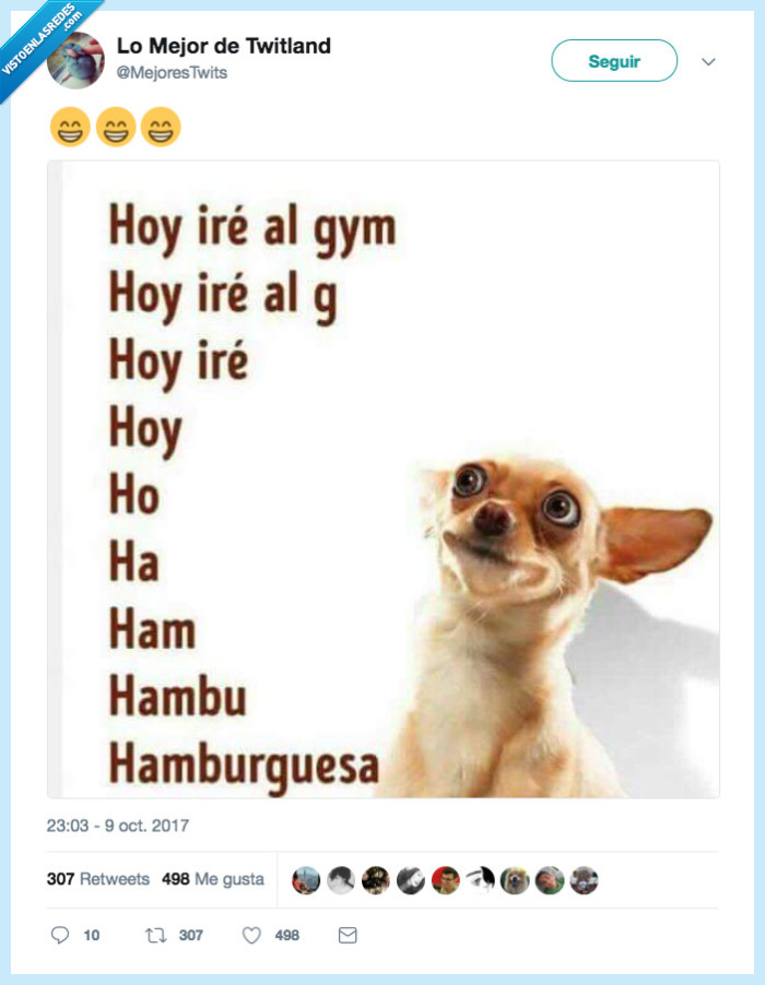 perro,gimnasio,haburguesa