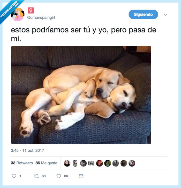 perro,abrazo,cuddle