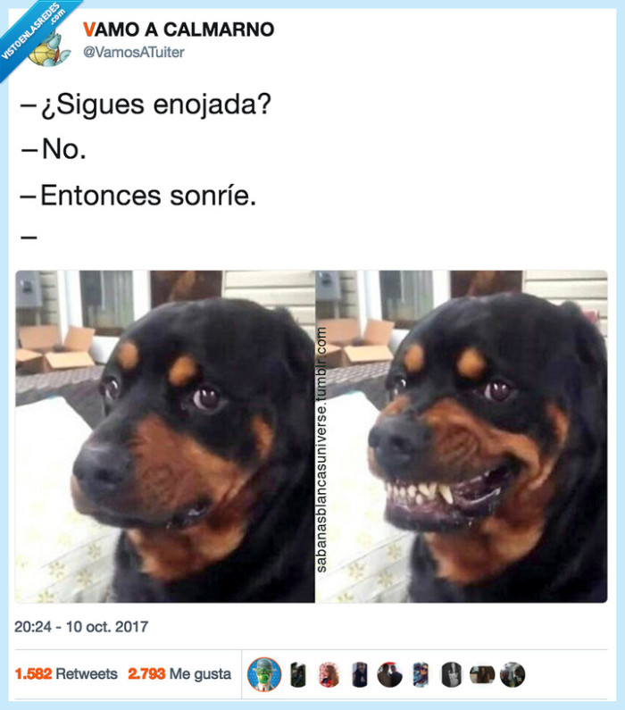 perro,dientes,enfadar