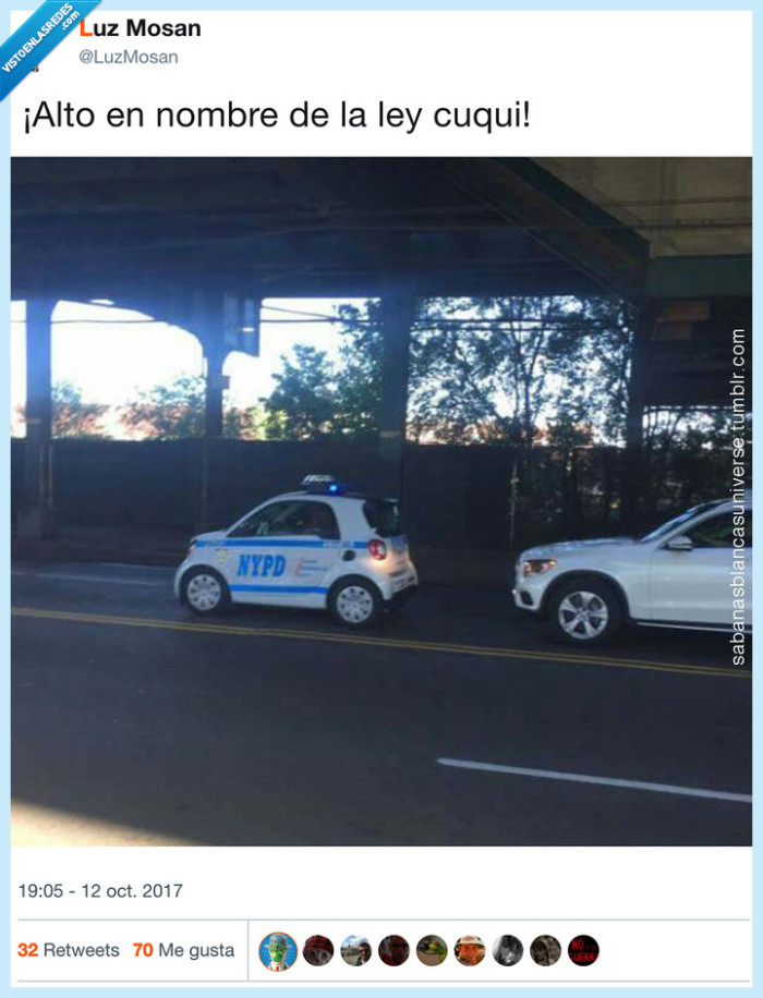 detenido,coche,polic&iacute;a