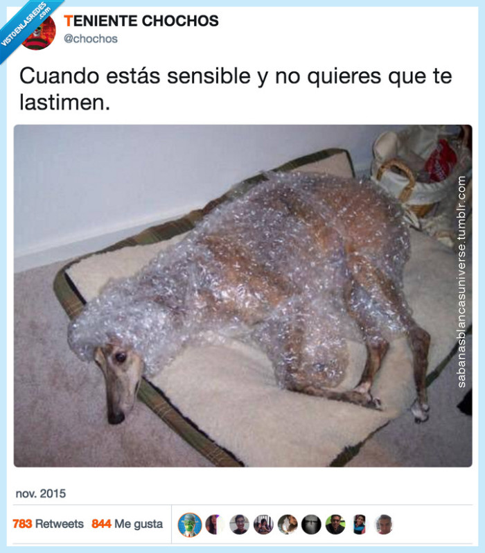 papel,sensible,proteger