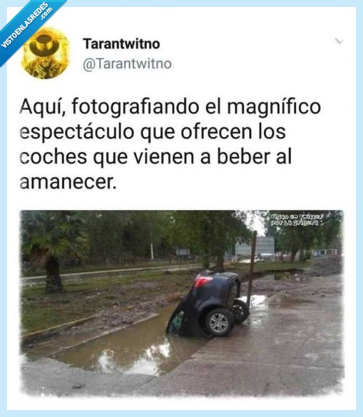 coche,beber,amanecer