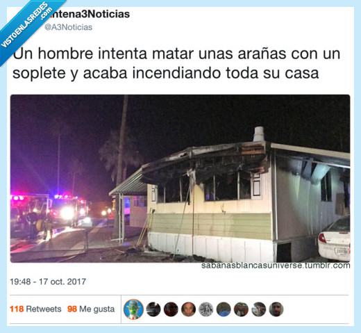 antenatres,matar,arañas