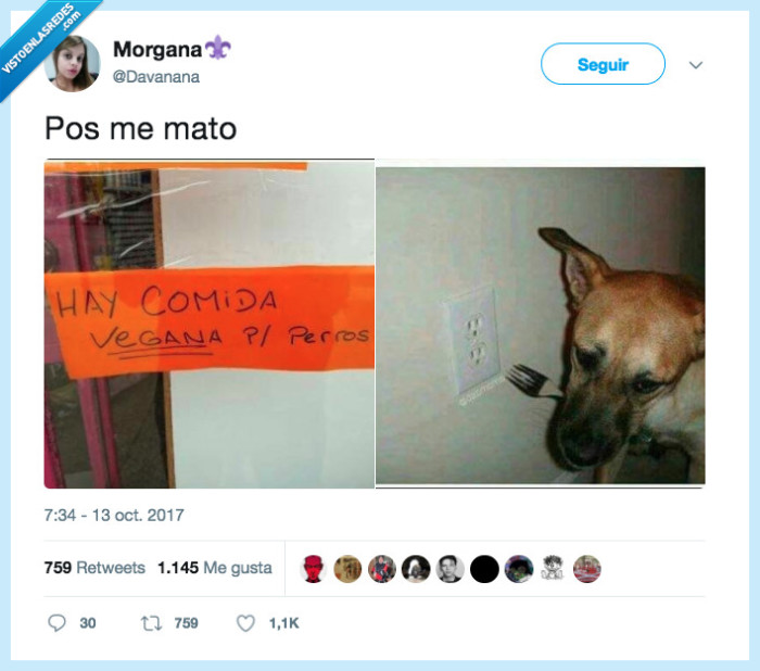 veganos,comida,perros