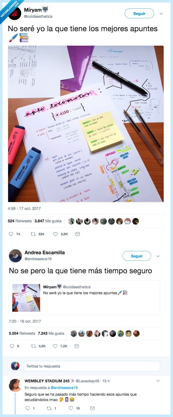 apuntes,bien presentados