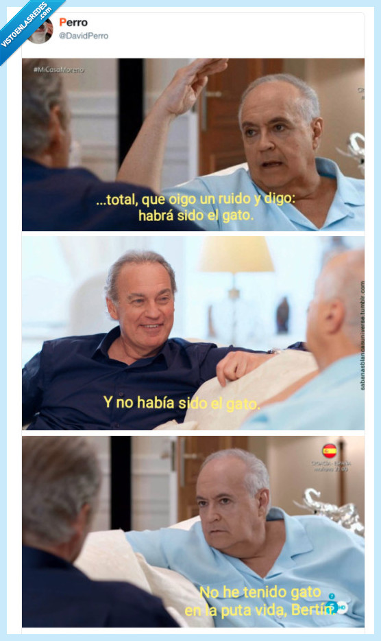 bertin,joseluis,gato,sospechar