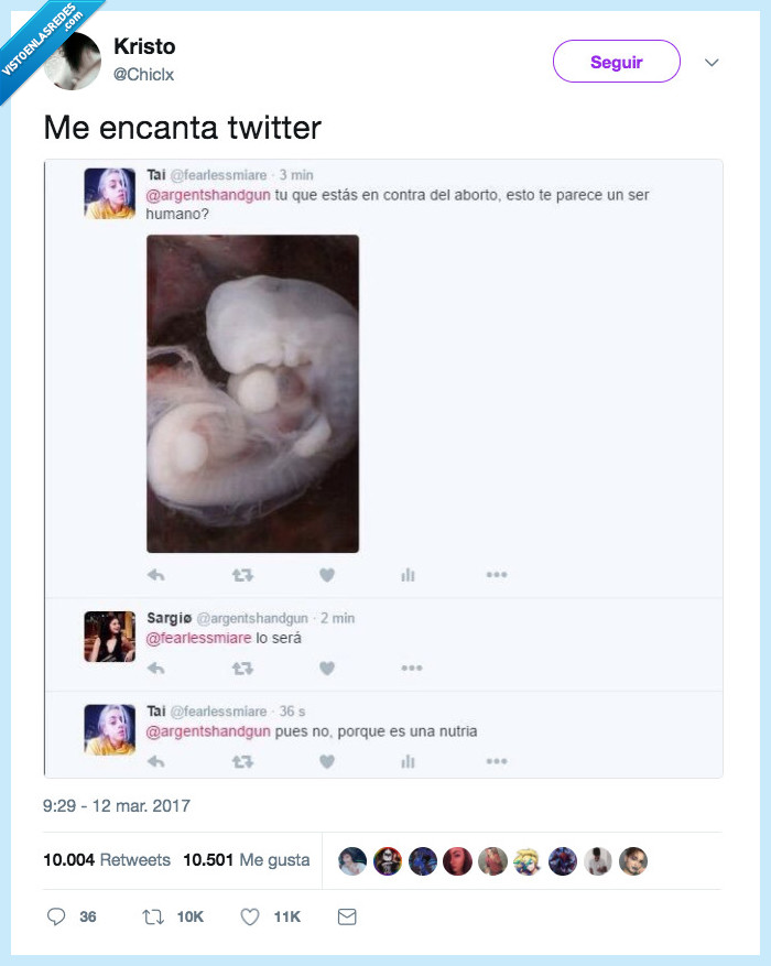 baia baia,vida,pro,bebe