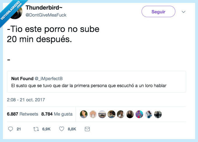 porro,subir,loro,existencial