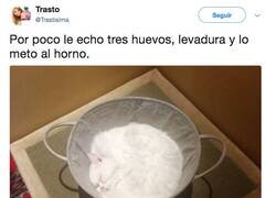 Enlace a Bizcocho de gato, por @Trastisima