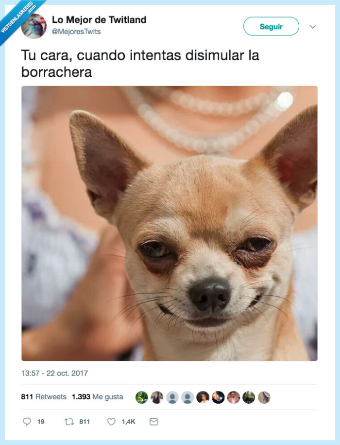 chihuahua,borrachera,dismular